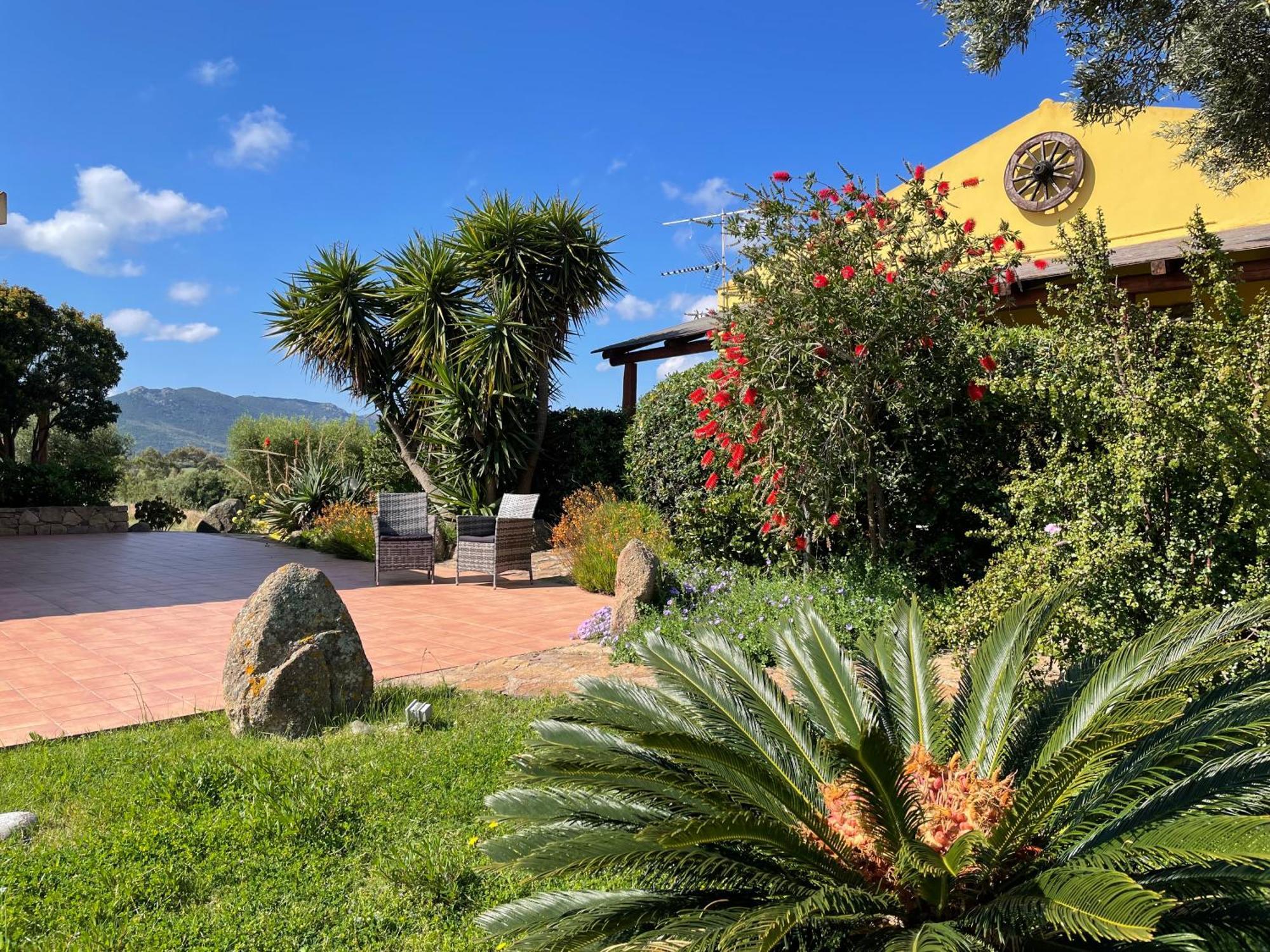 Agriturismo Campesi Casale Tra Le Vigne Aglientu Esterno foto