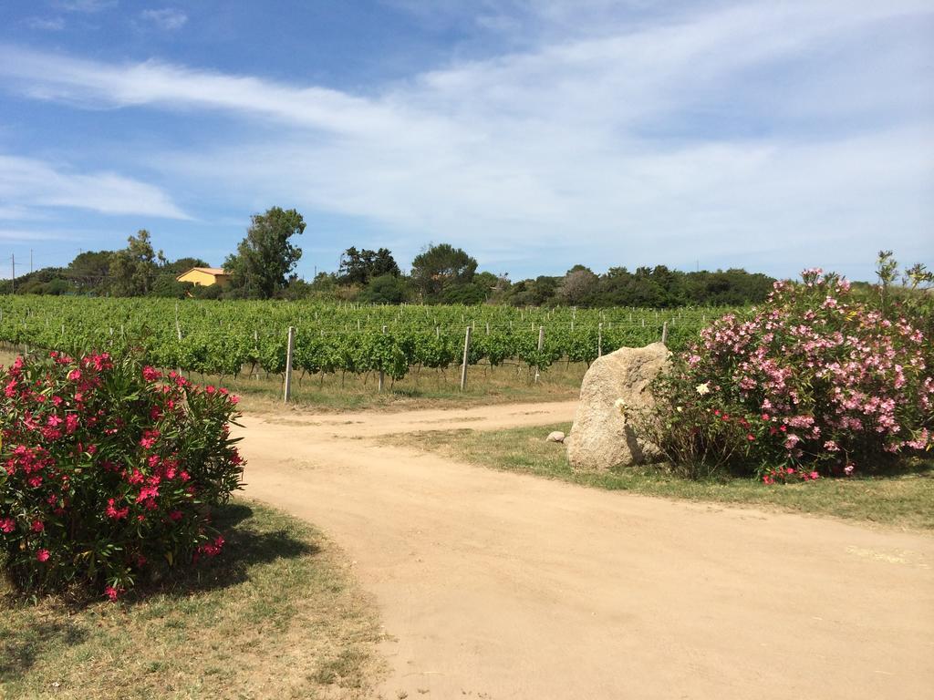 Agriturismo Campesi Casale Tra Le Vigne Aglientu Esterno foto