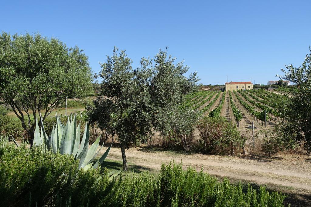 Agriturismo Campesi Casale Tra Le Vigne Aglientu Esterno foto