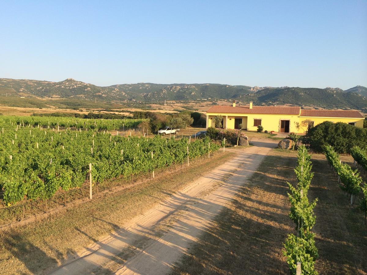 Agriturismo Campesi Casale Tra Le Vigne Aglientu Esterno foto