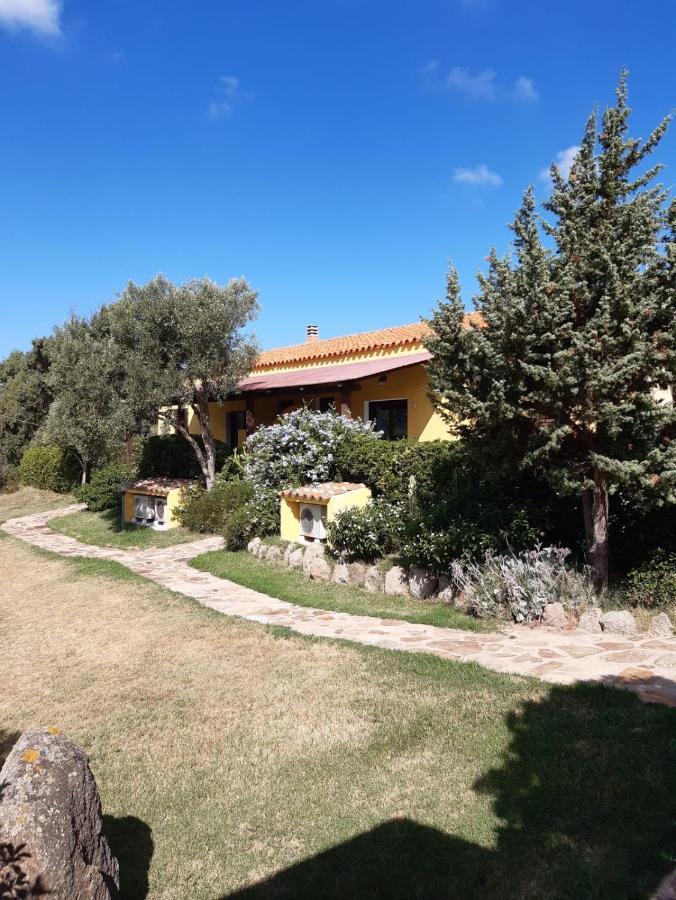Agriturismo Campesi Casale Tra Le Vigne Aglientu Esterno foto